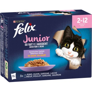 Felix So gut wie es aussieht Gemischte Vielfalt Junior 12x85g - 1.020 g