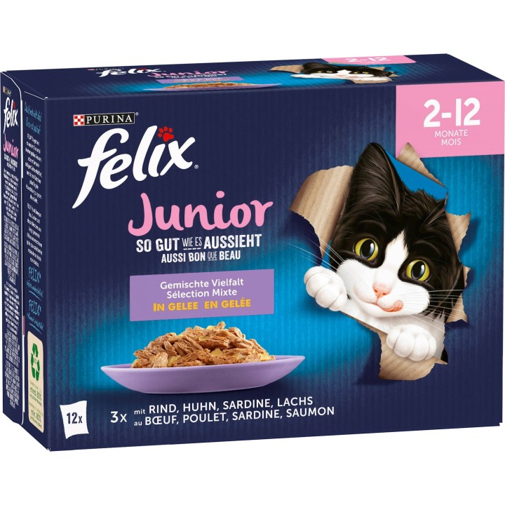 Felix So gut wie es aussieht Gemischte Vielfalt Junior 12x85g - 1.020 g