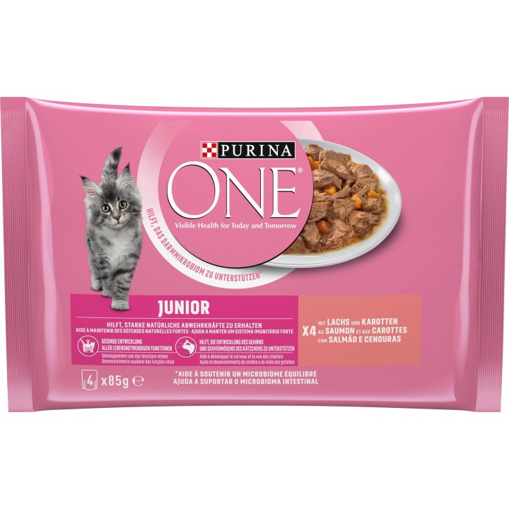 PURINA ONE Junior mit Lachs und Karotten 4x85g - 340 g