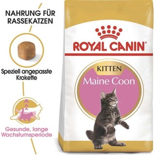 Royal Canin Kitten Maine Coon - 400 g
