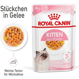 Royal Canin Kitten Nassfutter in Gelee 12x85 g - 1.020 g