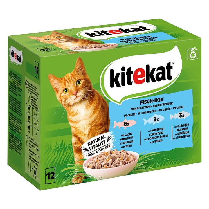 Kitekat Frischebeutel 48 x 85 g - Fisch Box in Gelee