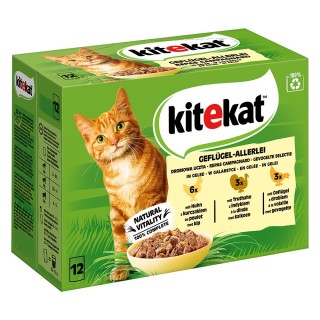 Kitekat Frischebeutel 48 x 85 g - Geflügel-Allerlei in Gelee