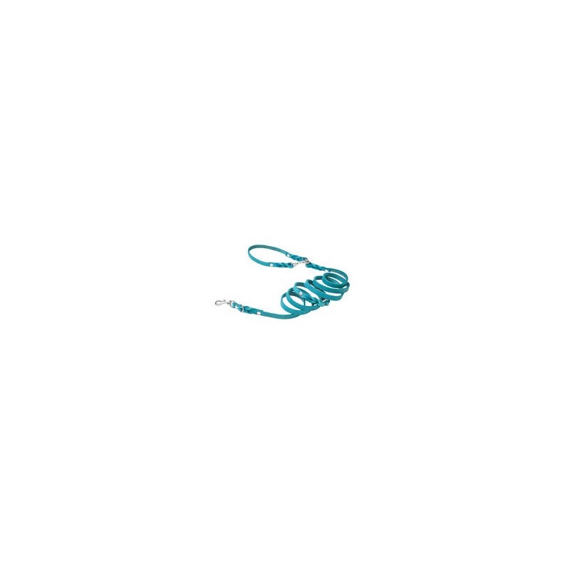 Molly &amp, Stitch Butter 3x verstellbare Leder Hundeleine [Fiji Blue/Silber - 2 m x 16 mm]