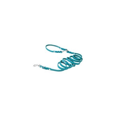 Molly &amp, Stitch Butter 3x verstellbare Leder Hundeleine [Fiji Blue/Silber - 2 m x 16 mm]