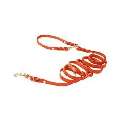 Molly &amp, Stitch Butter 3x verstellbare Leder Hundeleine [Mango/Gold - 2 m x 12 mm]
