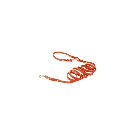 Molly &amp, Stitch Butter 3x verstellbare Leder Hundeleine [Mango/Gold - 2 m x 12 mm]