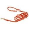 Molly &amp, Stitch Butter 3x verstellbare Leder Hundeleine [Mango/Gold - 2 m x 12 mm]