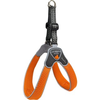 Coralpina Geschirr Cinquetorri Helles Orange - 3