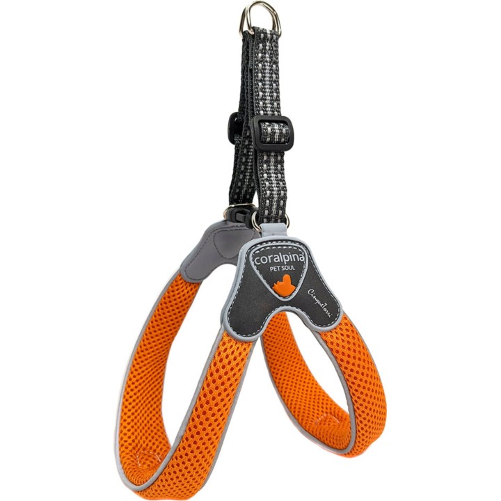 Coralpina Geschirr Cinquetorri Helles Orange - 3