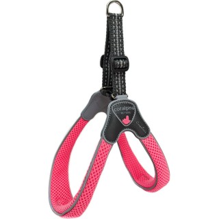 Coralpina Geschirr Cinquetorri Neonpink - 1