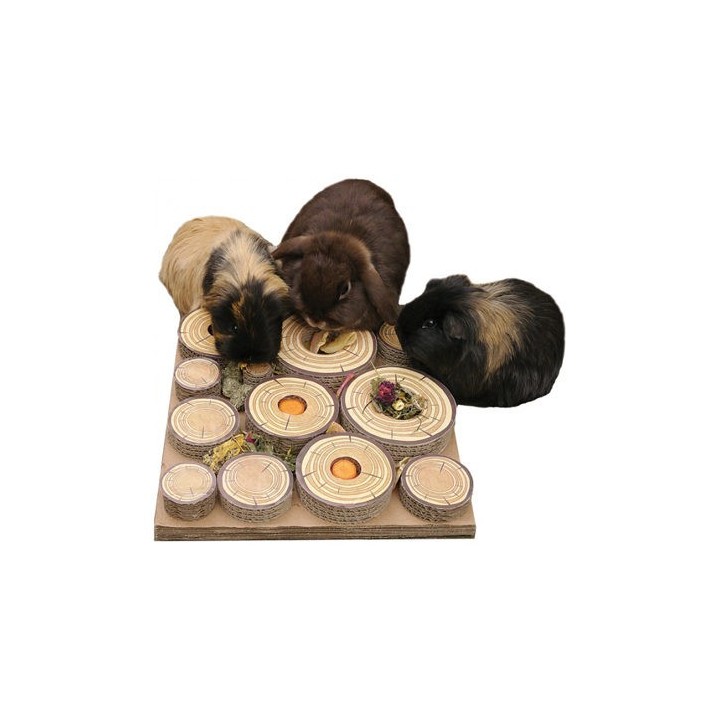 Rosewood Maze-A-Log Treat Challenge