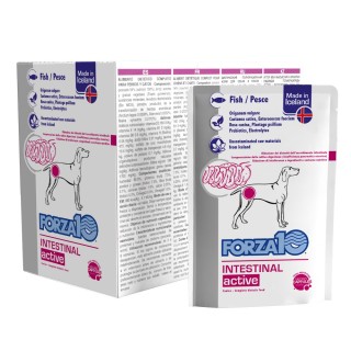 Forza 10 Intestinal Active - 12 x 100 g