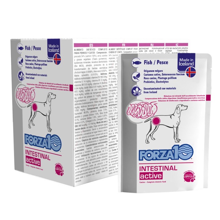 Forza 10 Intestinal Active - 12 x 100 g