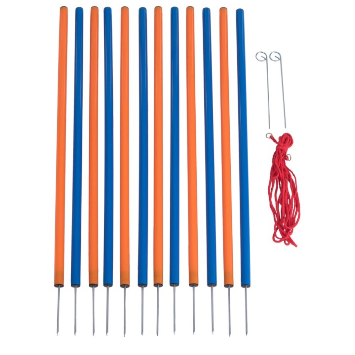 Agility Fun & Sport Komplett-Set - Sparpaket mit 4 Einzelelementen