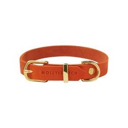 Molly &amp, Stitch Butter Leder Hundehalsband [Mango/Gold - M: 32 - 38 cm x  20 mm]