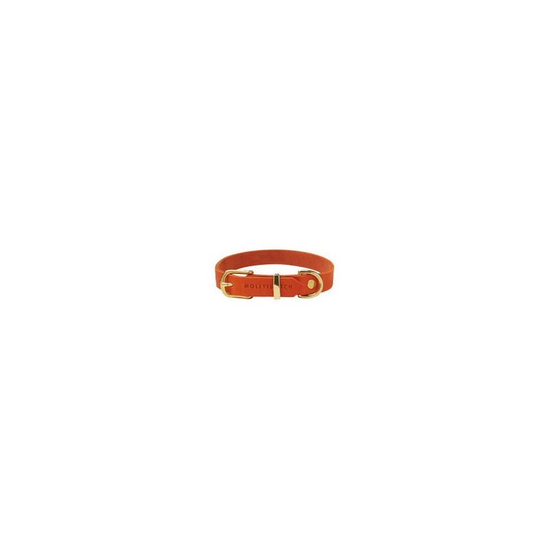 Molly &amp, Stitch Butter Leder Hundehalsband [Mango/Gold - M: 32 - 38 cm x  20 mm]