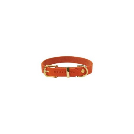 Molly &amp, Stitch Butter Leder Hundehalsband [Mango/Gold - M: 32 - 38 cm x  20 mm]