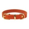 Molly &amp, Stitch Butter Leder Hundehalsband [Mango/Gold - M: 32 - 38 cm x  20 mm]