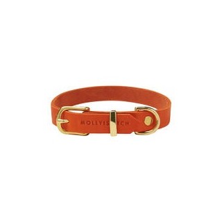 Molly &amp, Stitch Butter Leder Hundehalsband [Mango/Gold - L: 36 - 42 cm x 20 mm]