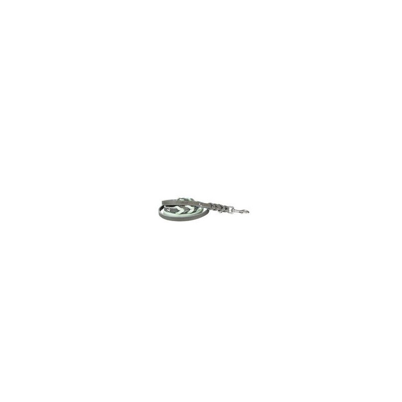 Trendfährte Hundeleine Leder geflochten 3-fach verstellbar [Mint/Anthrazit - XS/S: ca. 2 m x 12 mm]