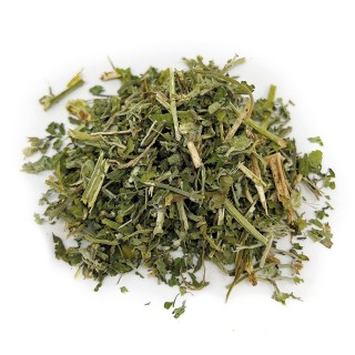 Aumüller Frische Katzenminze - 10 g