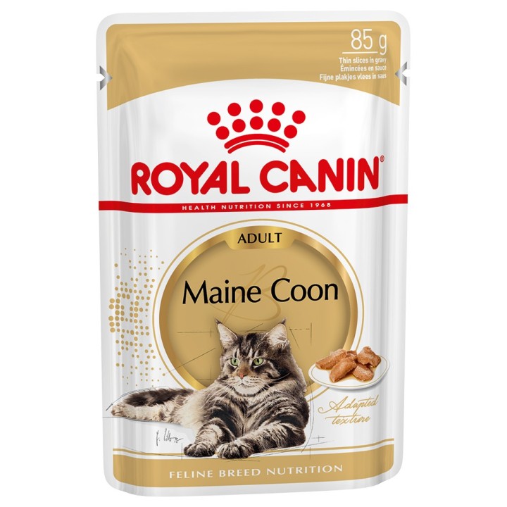Royal Canin Maine Coon Adult in Soße - 12 x 85 g