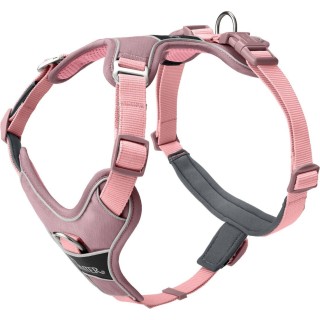Hunter Geschirr Divo Up altrosa - S