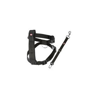 DOGGURT-Sicherheitsgurt