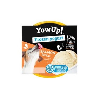 YowUp! Frozen-Joghurt [Lachs - 110g]