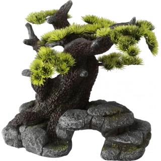 Europet Bonsai - groß