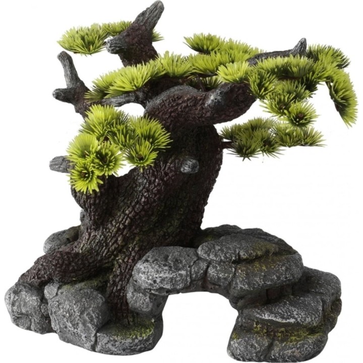 Europet Bonsai - groß