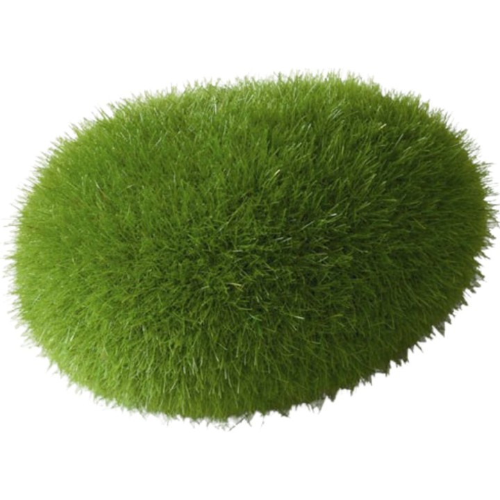 Europet Moosbälle - S