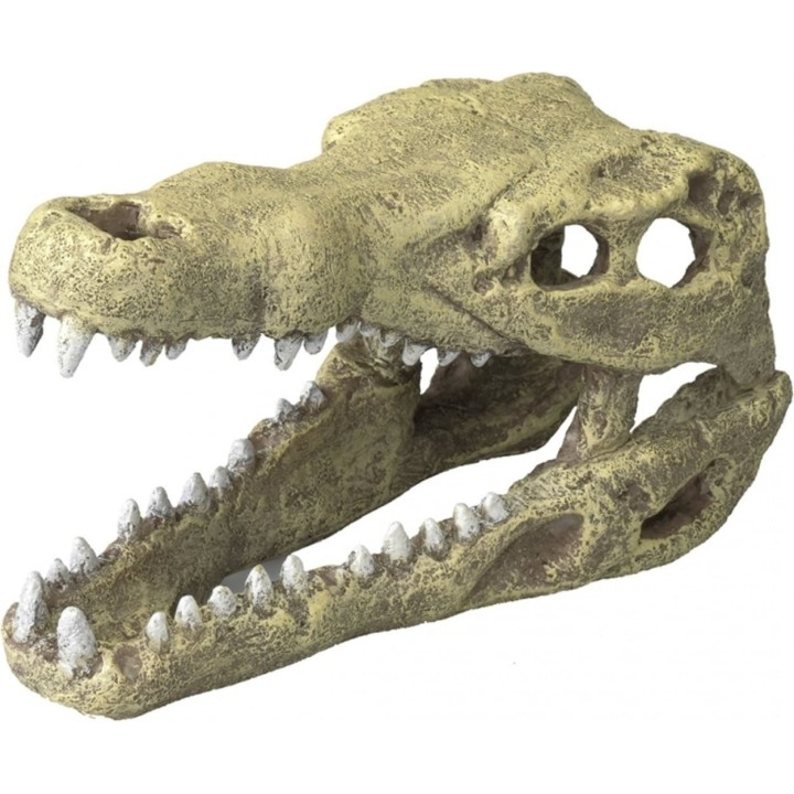 Europet Krokodil Kopf - M