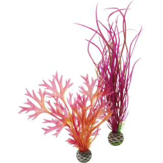 biOrb Pflanzen Set M - rot