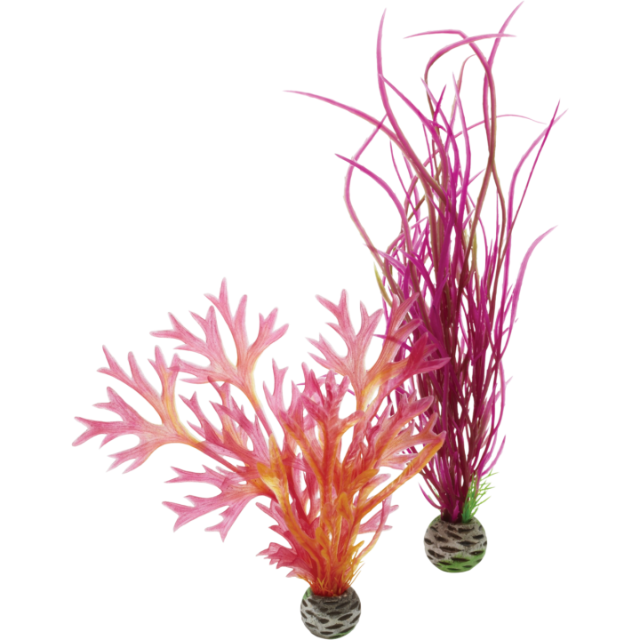 biOrb Pflanzen Set M - rot