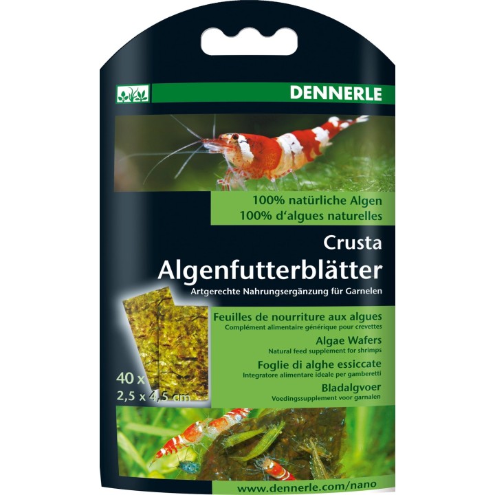 Dennerle Nano Algenfutterblätter - 40 Stk