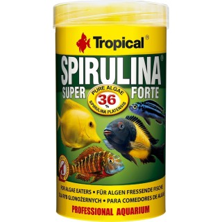 Tropical Super Spirulina Forte - 250 ml