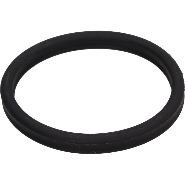 Oase Ersatzdichtung Vorfilter BioMaster - 1 Stk