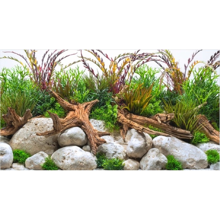 Amtra Fotorückwand River - 60x30 cm