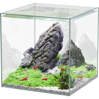 Aquatlantis Kubus Glas - 5L