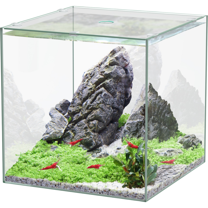Aquatlantis Kubus Glas - 5L