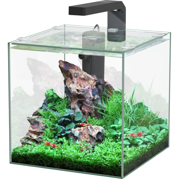 Aquatlantis Kubus 10 L LED Aquarienset - 1 Set