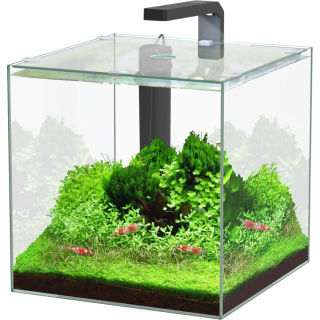 Aquatlantis Kubus 22 L LED Aquarienset - 1 Set