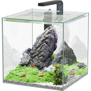 Aquatlantis Kubus 33 L LED Aquarienset - 1 Set
