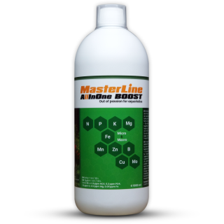 MasterLine All In One  - 1000ml