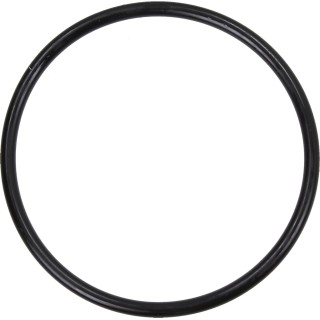 Fluval FX5 Dichtungsring für den Motor - 1 Stk