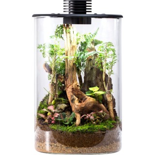 Bioloark Bio Bottle Modell ZD - 150