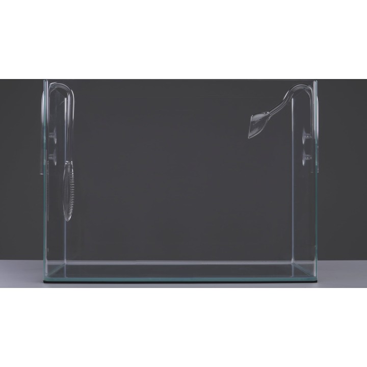 Papillon Glas Ein-/Auslass Violet - 12/16 mm