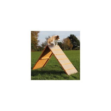 Agility A-Wand